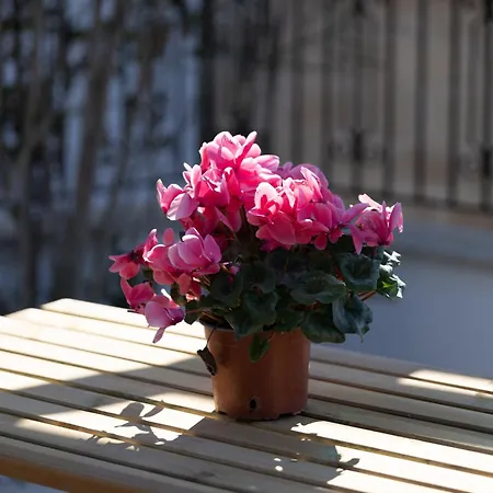 Kallisti & - A Luxury Seaside Retreat Villa Lachi