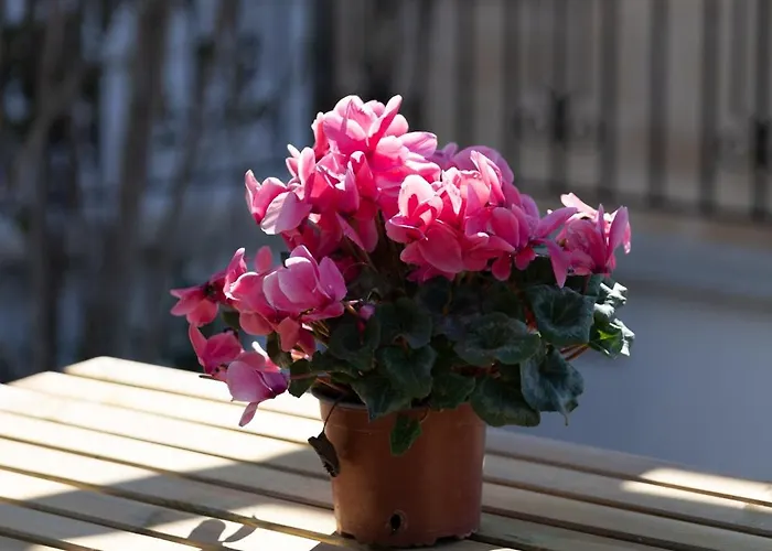 Kallisti & - A Luxury Seaside Retreat Willa Latsi